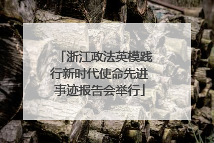 浙江政法英模践行新时代使命先进事迹报告会举行