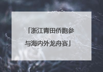 浙江青田侨胞参与海内外龙舟赛