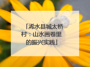 浠水县城太桥村：山水画卷里的振兴实践