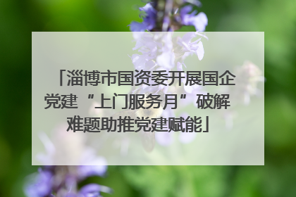 淄博市国资委开展国企党建“上门服务月”破解难题助推党建赋能