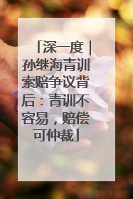 深一度｜孙继海青训索赔争议背后：青训不容易，赔偿可仲裁