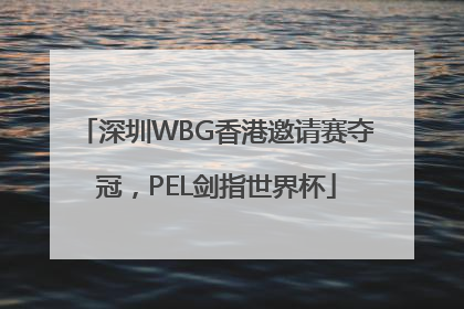 深圳WBG香港邀请赛夺冠，PEL剑指世界杯