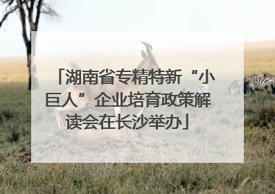 湖南省专精特新“小巨人”企业培育政策解读会在长沙举办