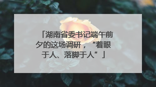 湖南省委书记端午前夕的这场调研，“着眼于人、落脚于人”