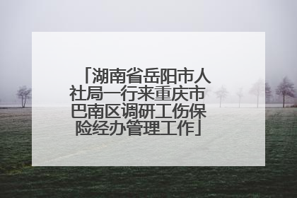 湖南省岳阳市人社局一行来重庆市巴南区调研工伤保险经办管理工作