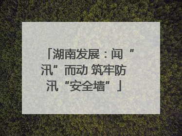湖南发展：闻“汛”而动 筑牢防汛“安全墙”