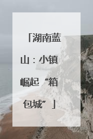 湖南蓝山：小镇崛起“箱包城”