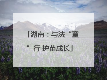 湖南：与法“童”行 护苗成长