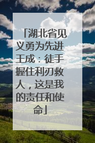 湖北省见义勇为先进王成：徒手握住利刃救人，这是我的责任和使命