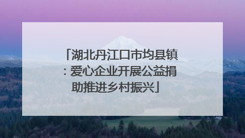 湖北丹江口市均县镇：爱心企业开展公益捐助推进乡村振兴