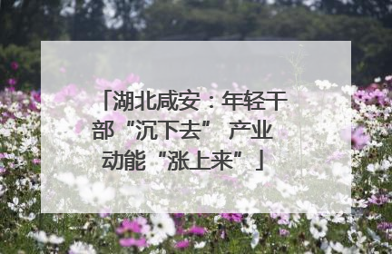 湖北咸安：年轻干部“沉下去” 产业动能“涨上来”