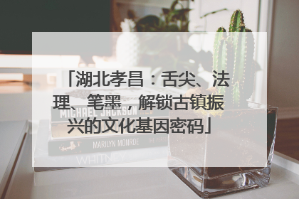 湖北孝昌：舌尖、法理、笔墨，解锁古镇振兴的文化基因密码