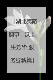 湖北夷陵烟草：沃土生芳华 服务绽新篇