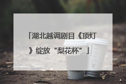 湖北越调剧目《顶灯》绽放“梨花杯”