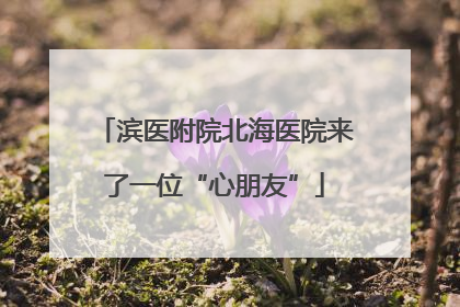 滨医附院北海医院来了一位“心朋友”