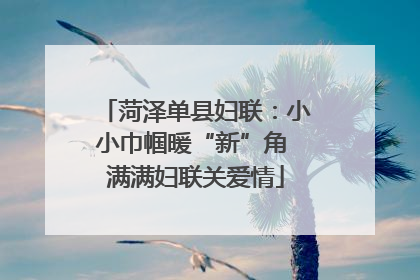 菏泽单县妇联：小小巾帼暖“新”角 满满妇联关爱情