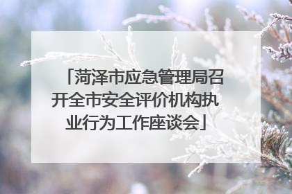 菏泽市应急管理局召开全市安全评价机构执业行为工作座谈会