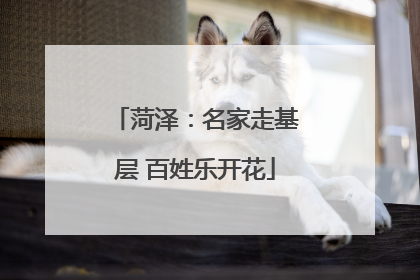 菏泽：名家走基层 百姓乐开花