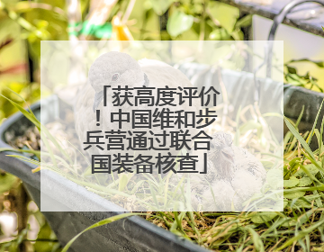 获高度评价！中国维和步兵营通过联合国装备核查