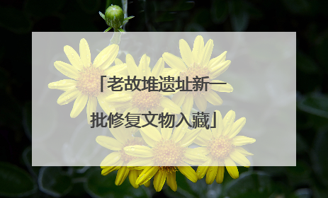 老故堆遗址新一批修复文物入藏
