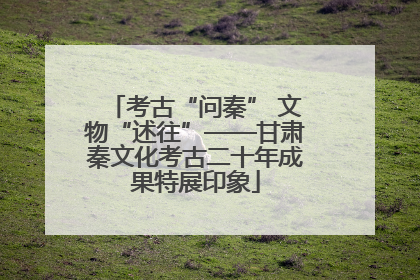考古“问秦” 文物“述往”——甘肃秦文化考古二十年成果特展印象