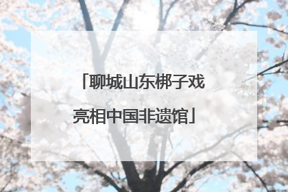 聊城山东梆子戏亮相中国非遗馆