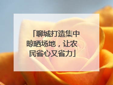 聊城打造集中晾晒场地，让农民省心又省力