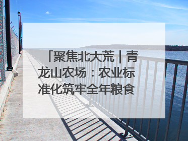 聚焦北大荒｜青龙山农场：农业标准化筑牢全年粮食安全根基