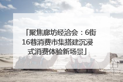 聚焦廊坊经洽会：6街16巷消费市集搭建沉浸式消费体验新场景