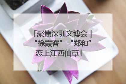 聚焦深圳文博会｜“徐霞客”“郑和”恋上江西仙草