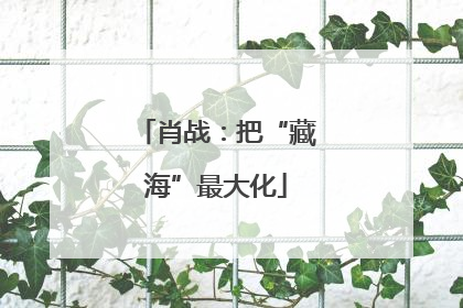 肖战：把“藏海”最大化