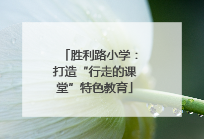 胜利路小学：打造“行走的课堂”特色教育