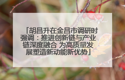 胡昌升在金昌市调研时强调：推进创新链与产业链深度融合 为高质量发展塑造新动能新优势