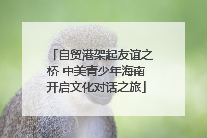 自贸港架起友谊之桥 中美青少年海南开启文化对话之旅