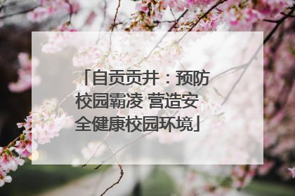 自贡贡井：预防校园霸凌 营造安全健康校园环境
