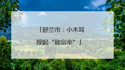 舒兰市：小木耳撑起“致富伞”