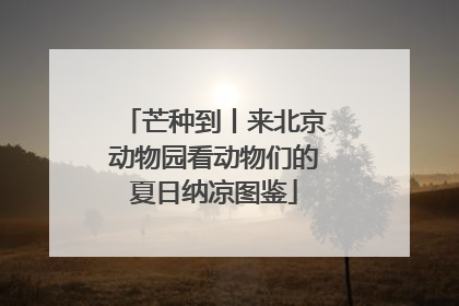 芒种到丨来北京动物园看动物们的夏日纳凉图鉴