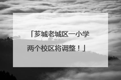 芗城老城区一小学两个校区将调整！