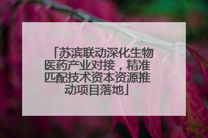 苏滨联动深化生物医药产业对接，精准匹配技术资本资源推动项目落地