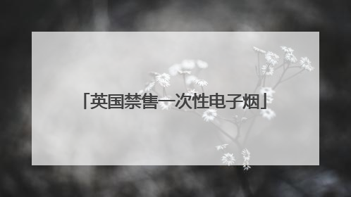 英国禁售一次性电子烟