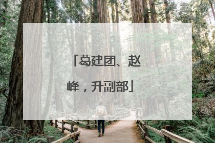 葛建团、赵峰，升副部
