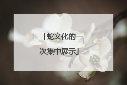 蛇文化的一次集中展示