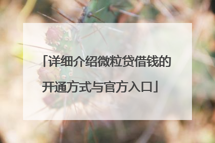 详细介绍微粒贷借钱的开通方式与官方入口