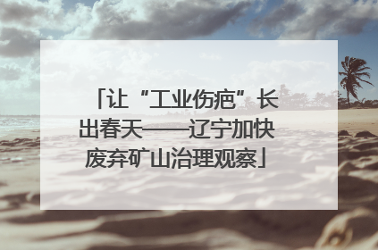 让“工业伤疤”长出春天——辽宁加快废弃矿山治理观察