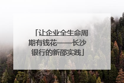 让企业全生命周期有钱花——长沙银行的新邵实践