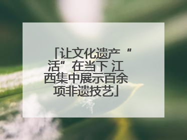 让文化遗产“活”在当下 江西集中展示百余项非遗技艺