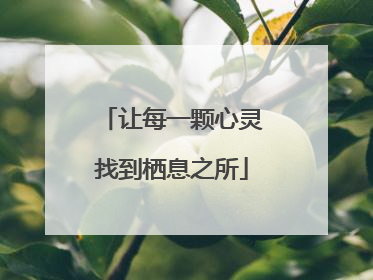 让每一颗心灵找到栖息之所