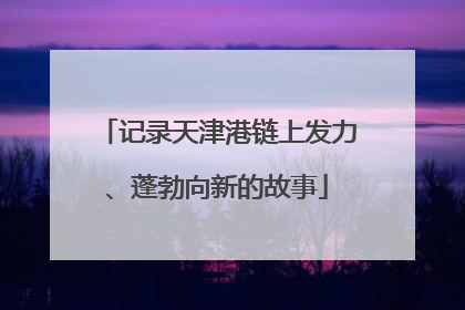 记录天津港链上发力、蓬勃向新的故事