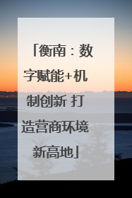 衡南：数字赋能+机制创新 打造营商环境新高地