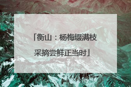 衡山：杨梅缀满枝 采摘尝鲜正当时